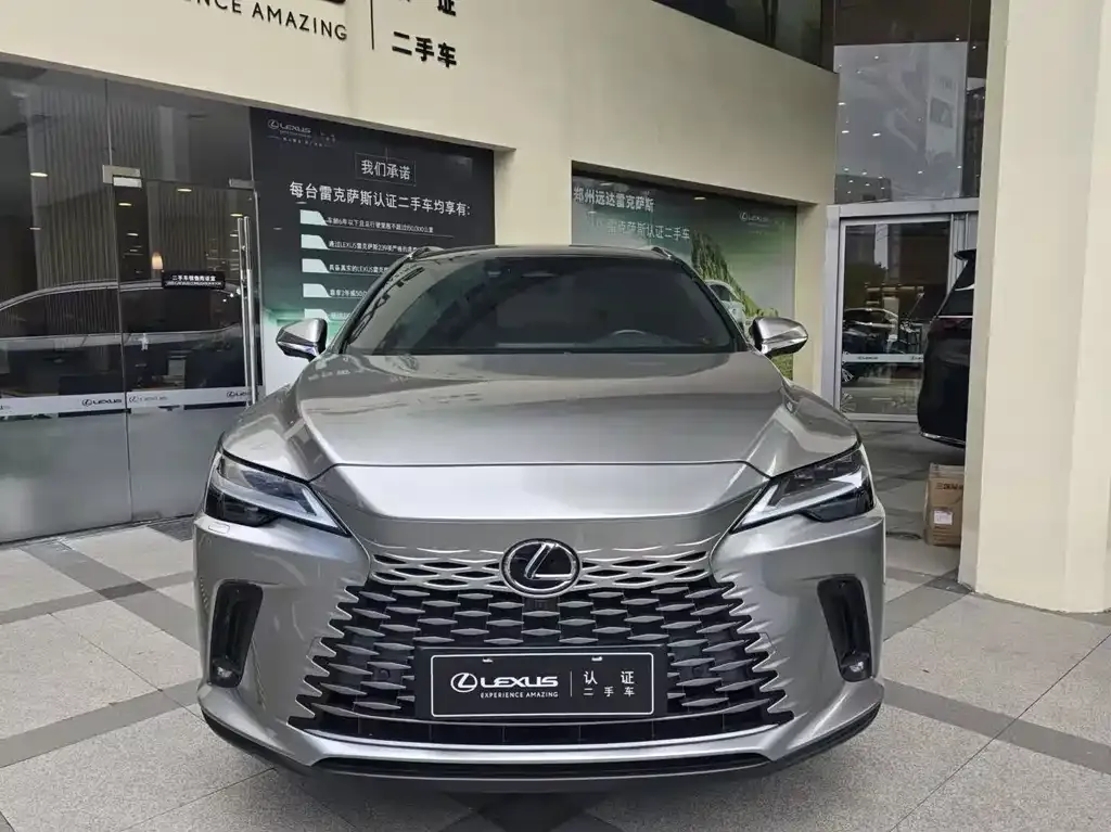 Lexus RX New Energy 2023 из CN, фото 8