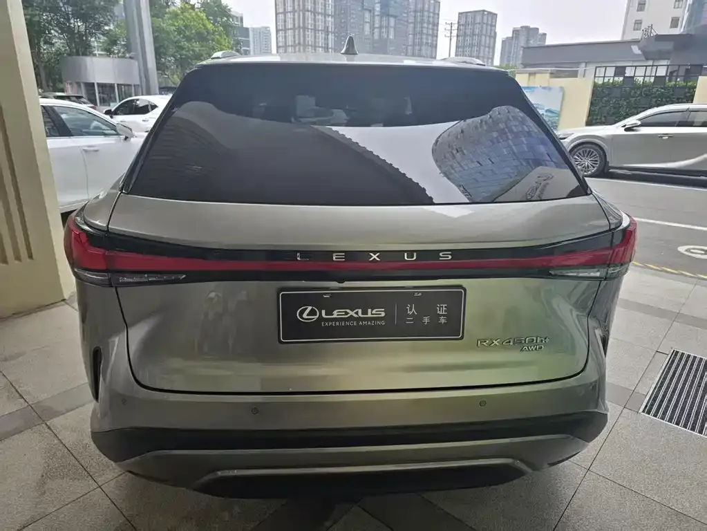 Lexus RX New Energy 2023 из CN, фото 6