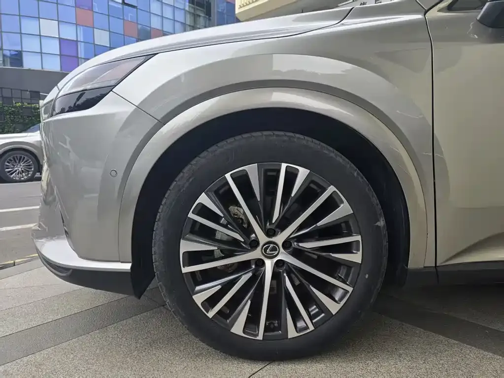 Lexus RX New Energy 2023 из CN, фото 3