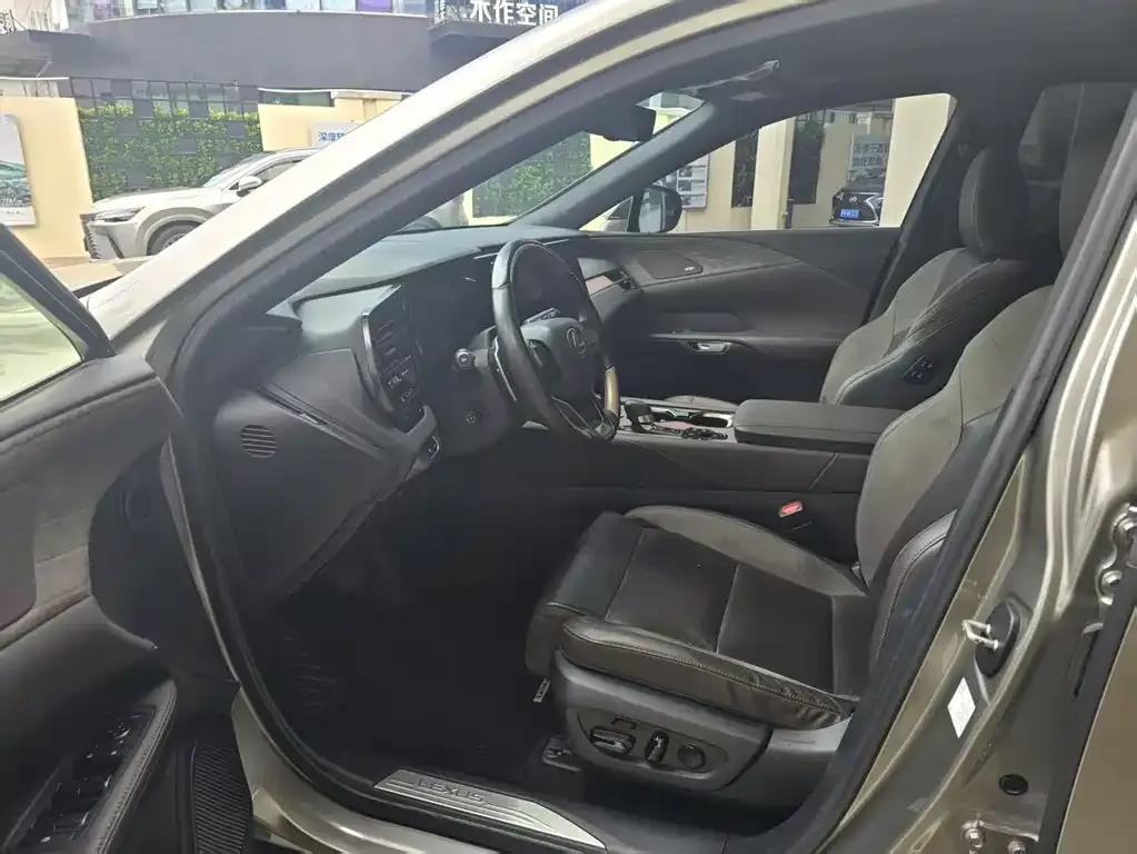 Lexus RX New Energy 2023 из CN, фото 5