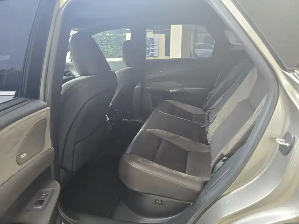 Lexus RX New Energy 2023 из CN, фото 2
