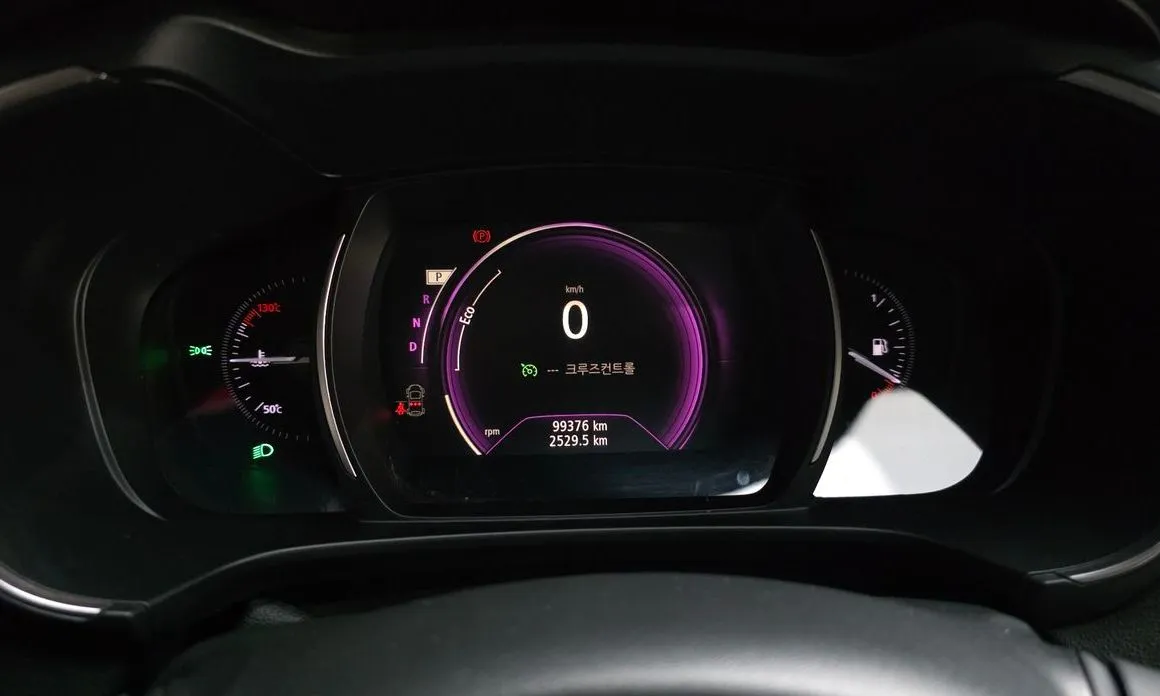 Renault Korea (Samsung) QM6 2022 из KR, фото 3