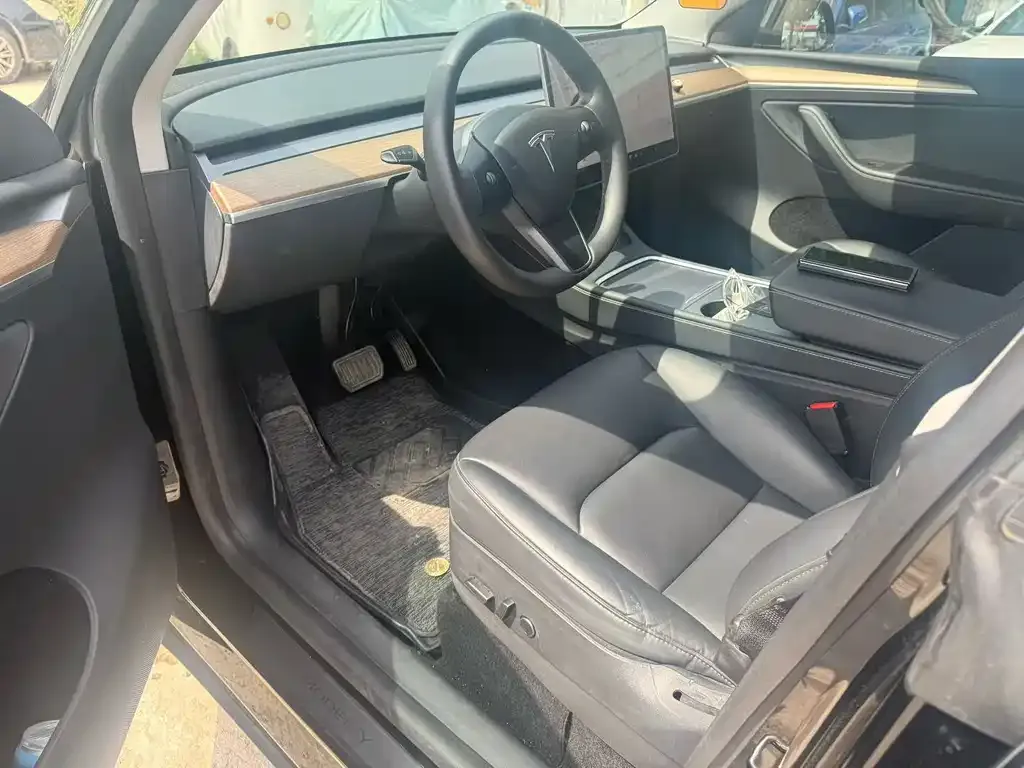 Tesla Model Y — фото 6