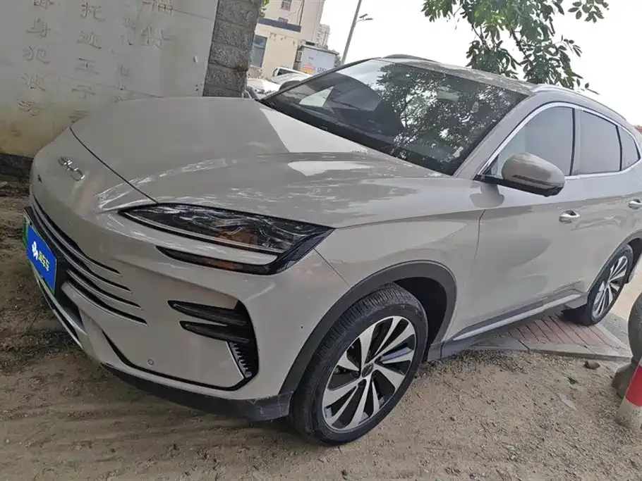 BYD PLUS New Energy — фото 1