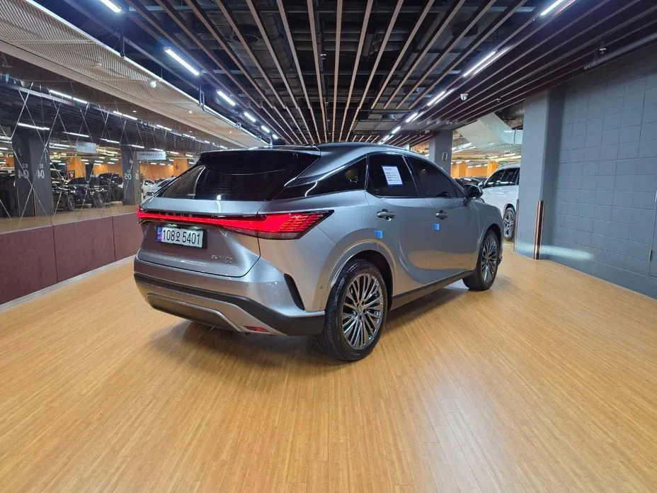 Lexus RX 2023 из KR, фото 6