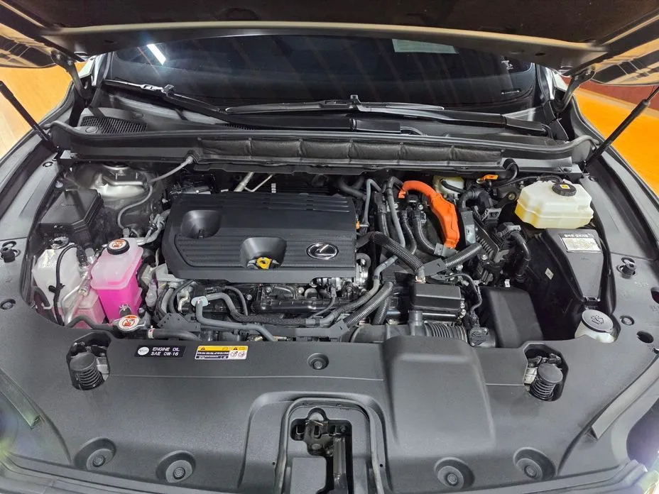 Lexus RX 2023 из KR, фото 10