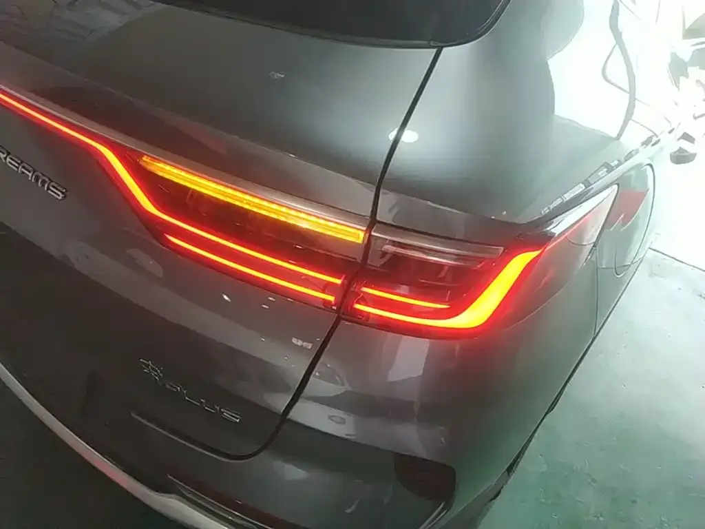 BYD PLUS New Energy — фото 4