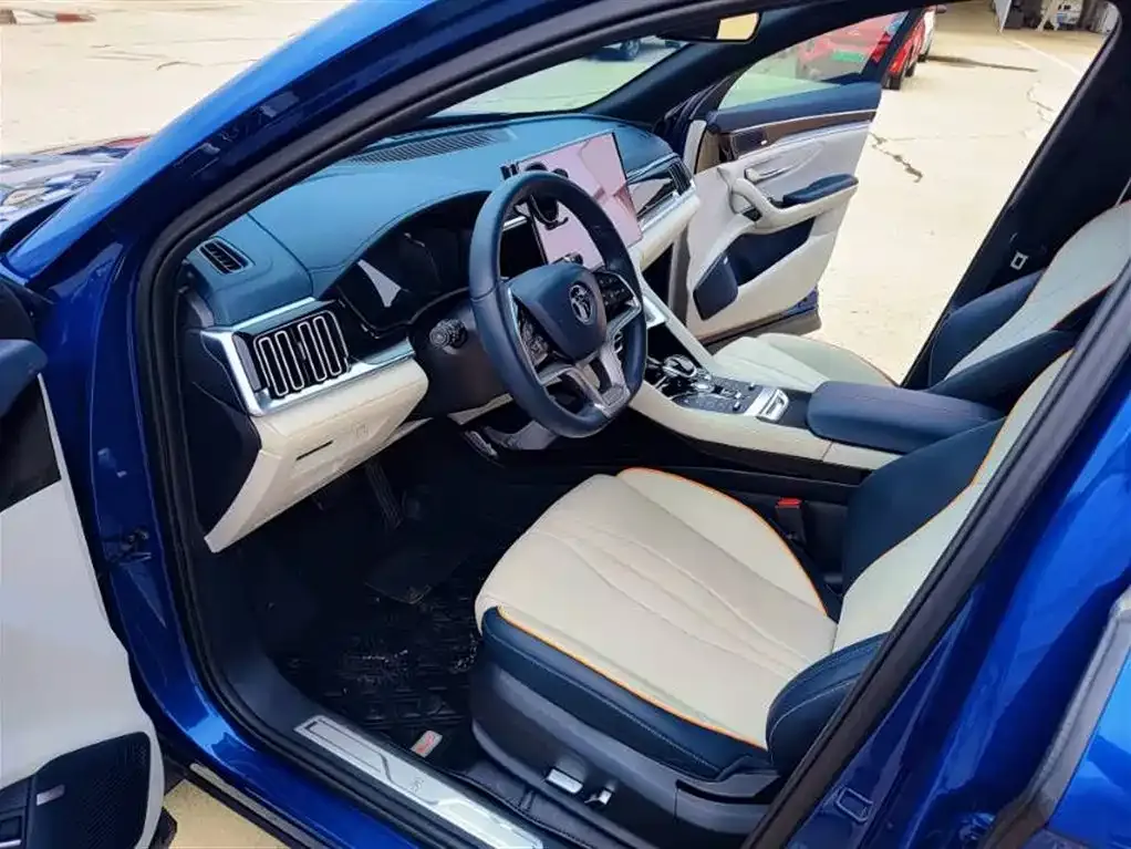 BYD PLUS New Energy 2023 из CN, фото 5