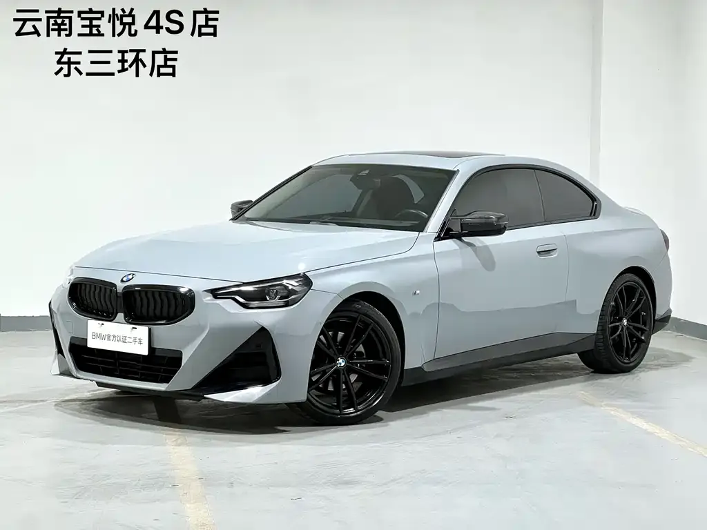 BMW 2 Series (Import)
