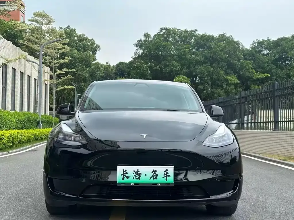 Tesla Model Y — фото 8