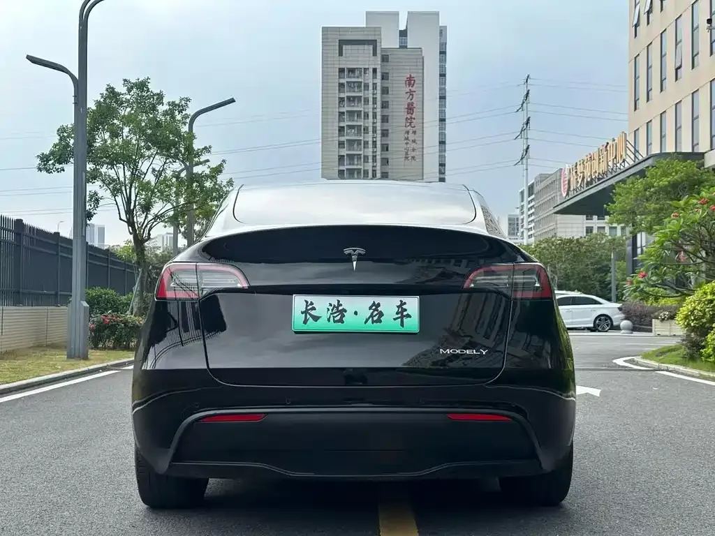 Tesla Model Y — фото 3
