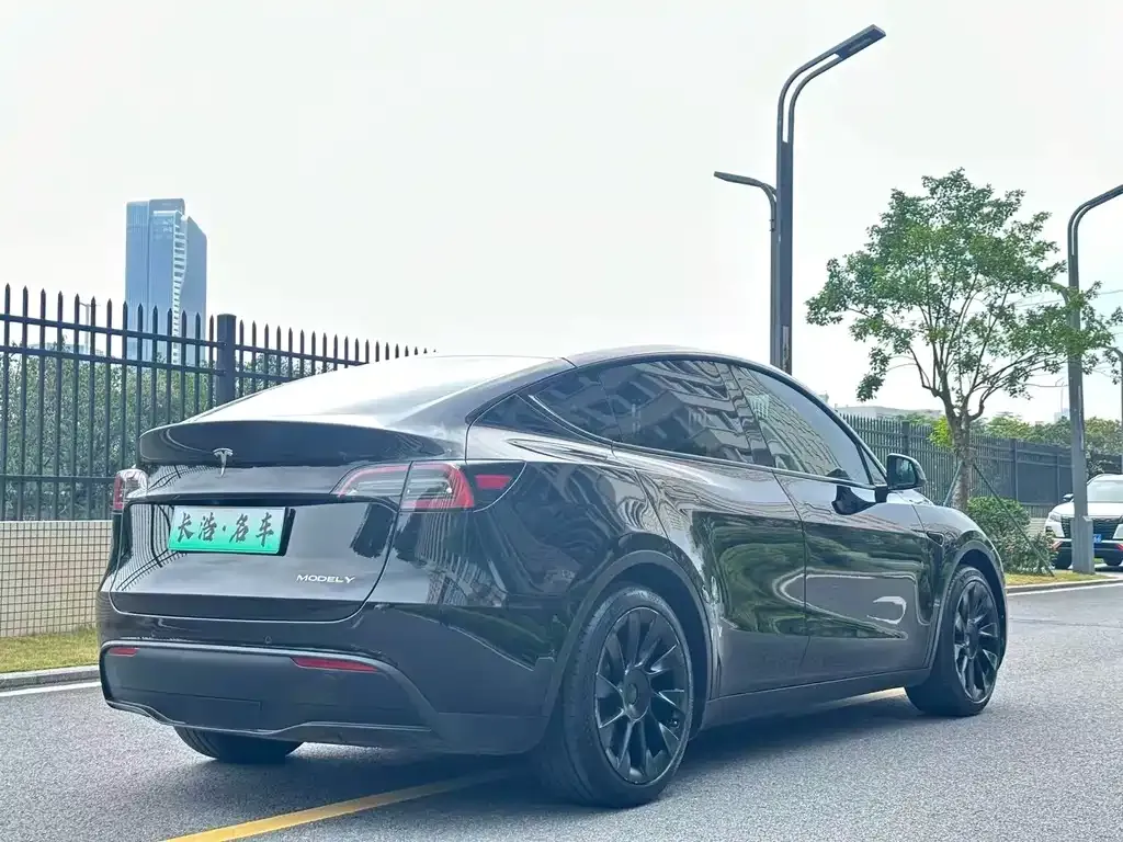 Tesla Model Y — фото 9