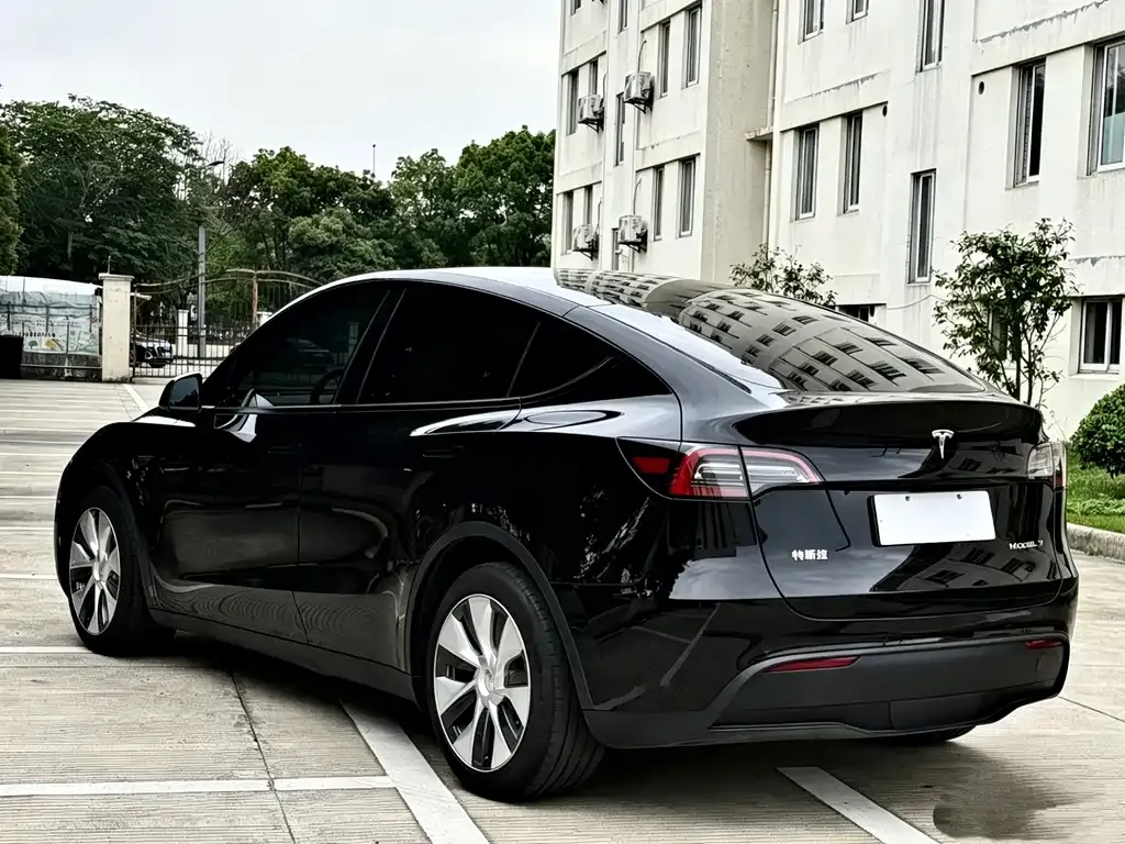 Tesla Model Y 2021 из CN, фото 5