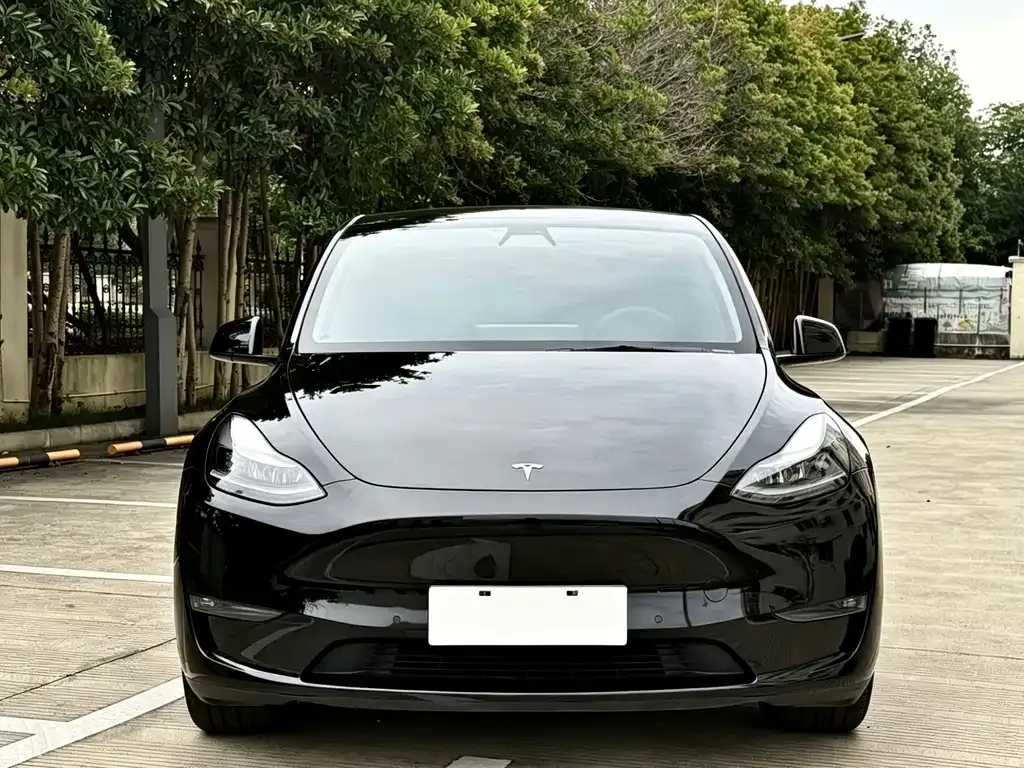 Tesla Model Y 2021 из CN, фото 8