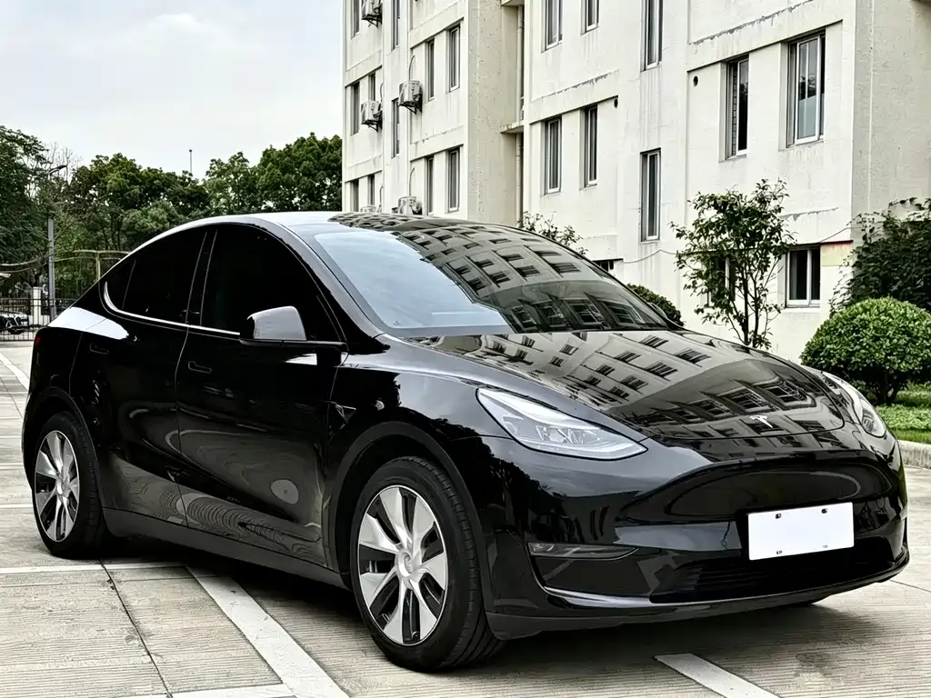 Tesla Model Y 2021 из CN, фото 9