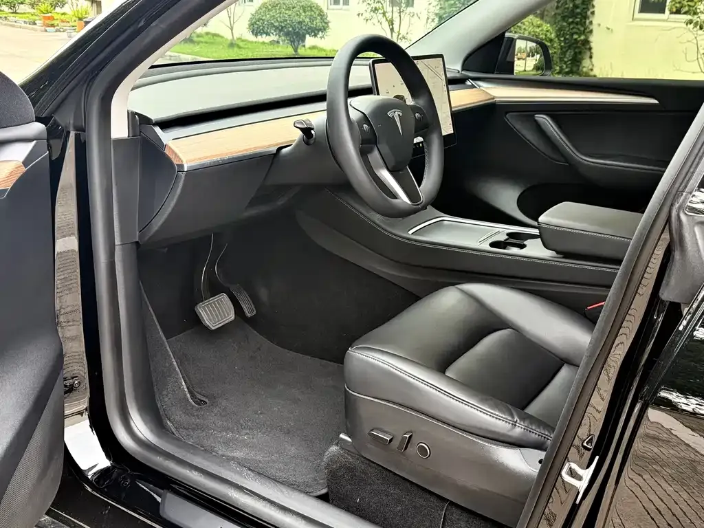 Tesla Model Y 2021 из CN, фото 7