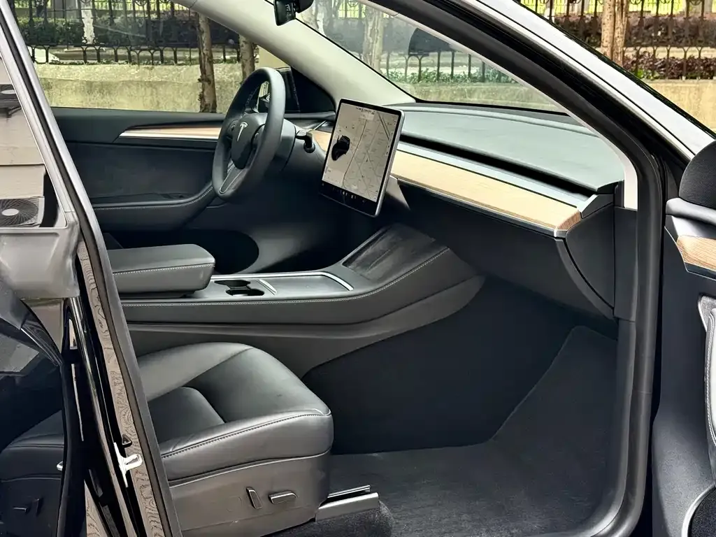 Tesla Model Y 2021 из CN, фото 4