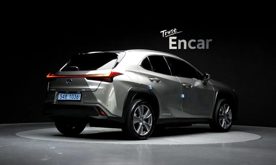 Lexus UX 2022 из KR, фото 9
