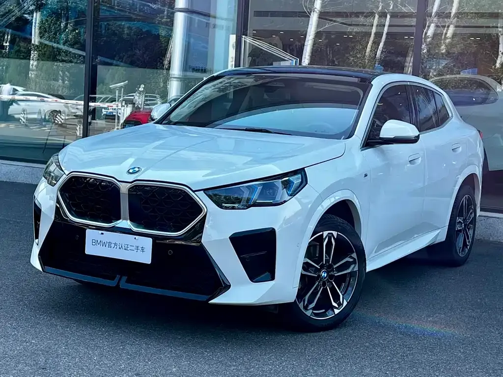 BMW X2 (Import) 2024 из CN, фото 9
