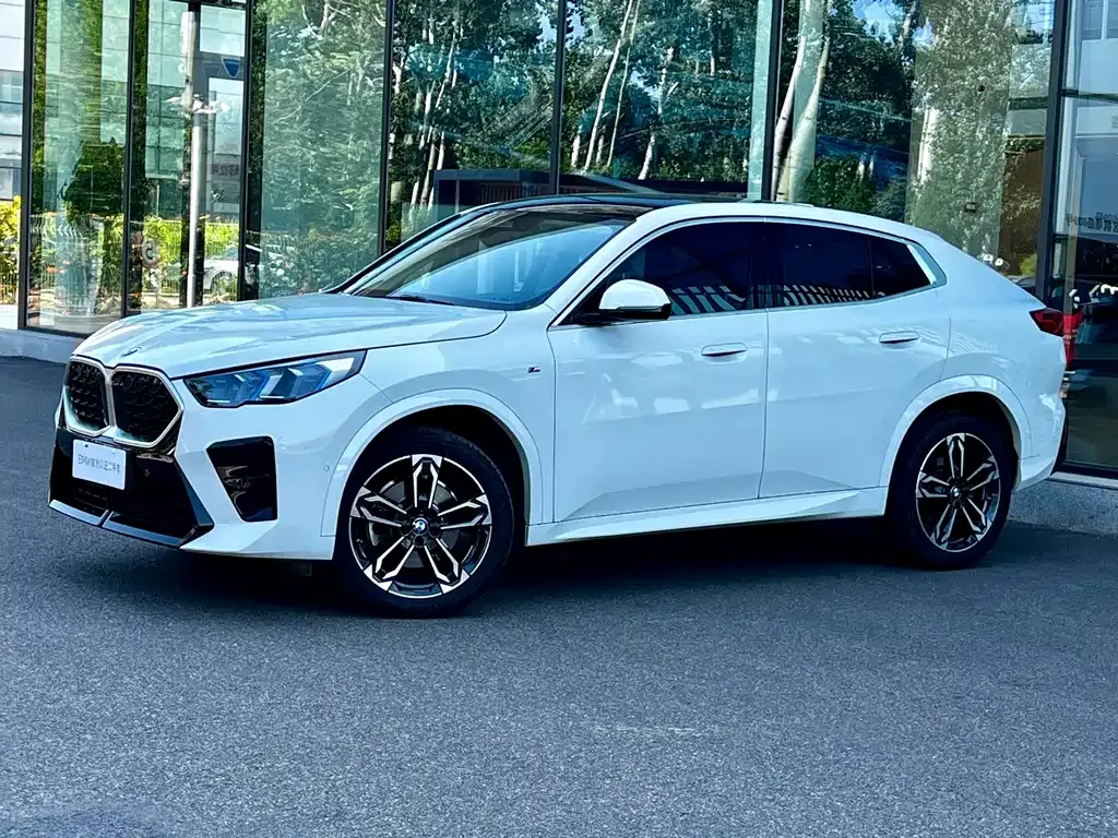 BMW X2 (Import) 2024 из CN, фото 8