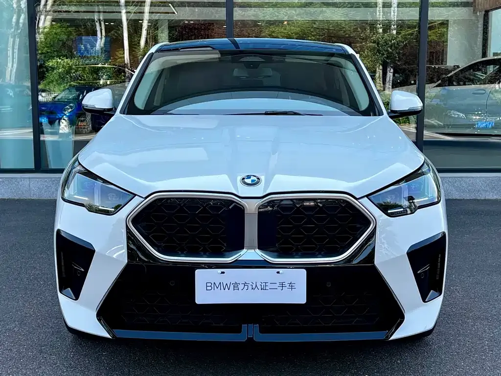 BMW X2 (Import) 2024 из CN, фото 3