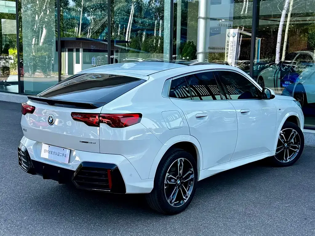 BMW X2 (Import) 2024 из CN, фото 10