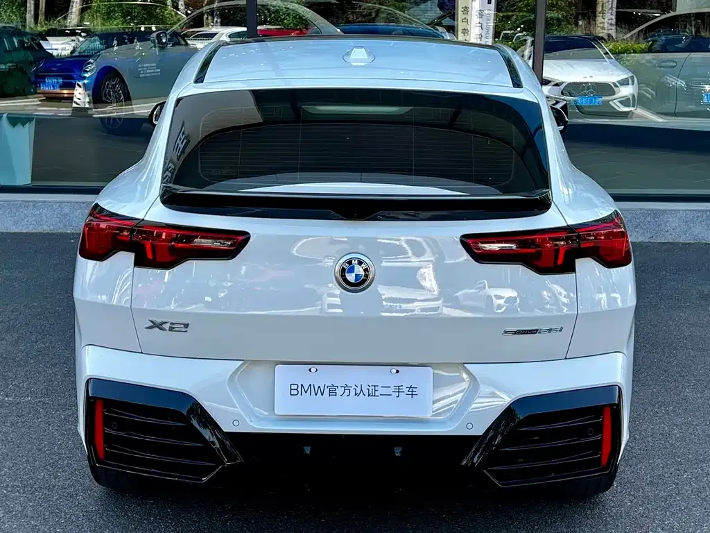 BMW X2 (Import) 2024 из CN, фото 6