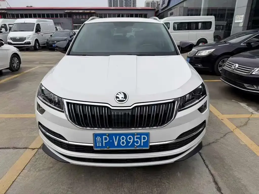 Skoda Karoq — фото 7
