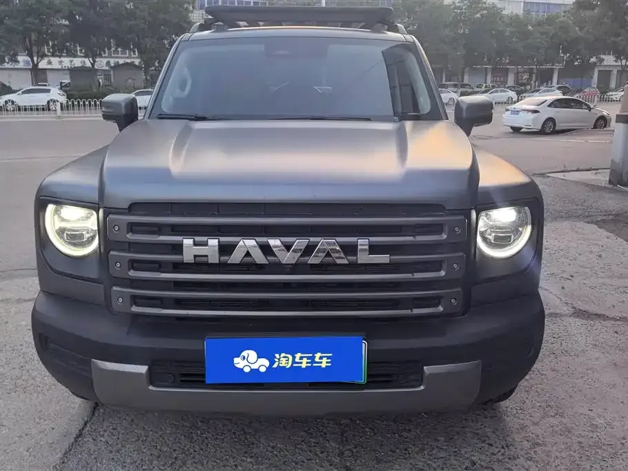Haval Menglong New Energy 2024 из CN, фото 5
