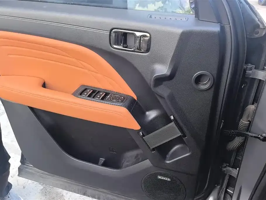 Haval Menglong New Energy 2024 из CN, фото 10