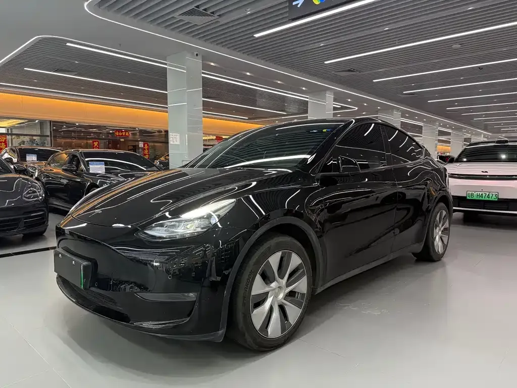 Tesla Model Y — фото 1