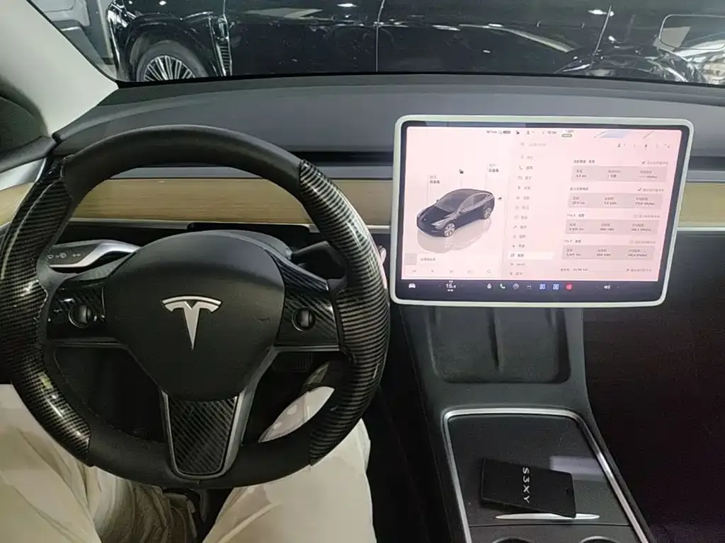 Tesla Model Y — фото 10