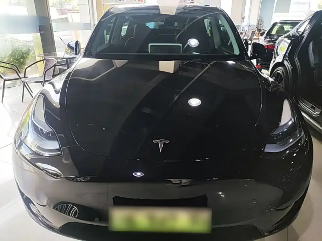 Tesla Model Y — фото 4