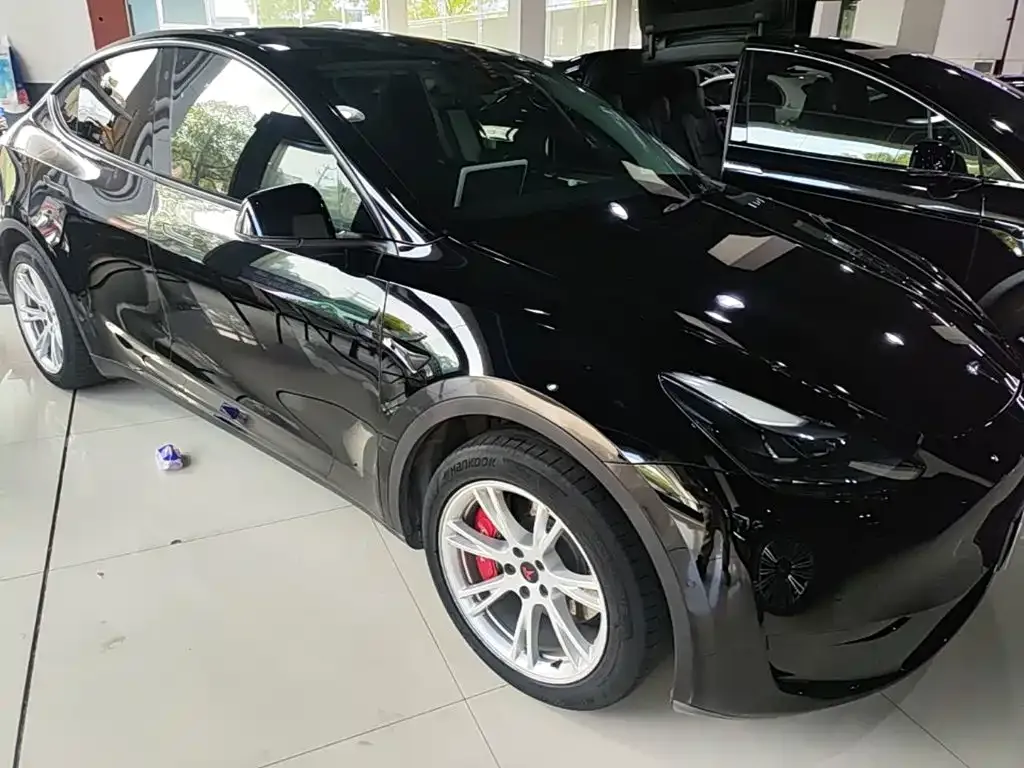 Tesla Model Y — фото 2