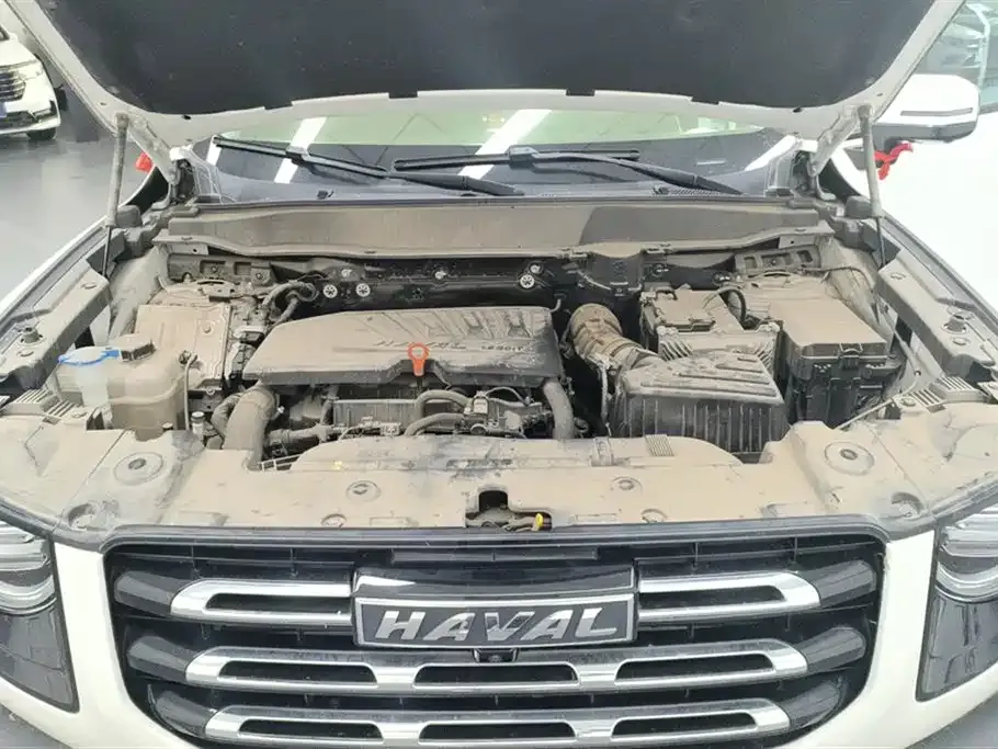 Haval Big Dog — фото 10