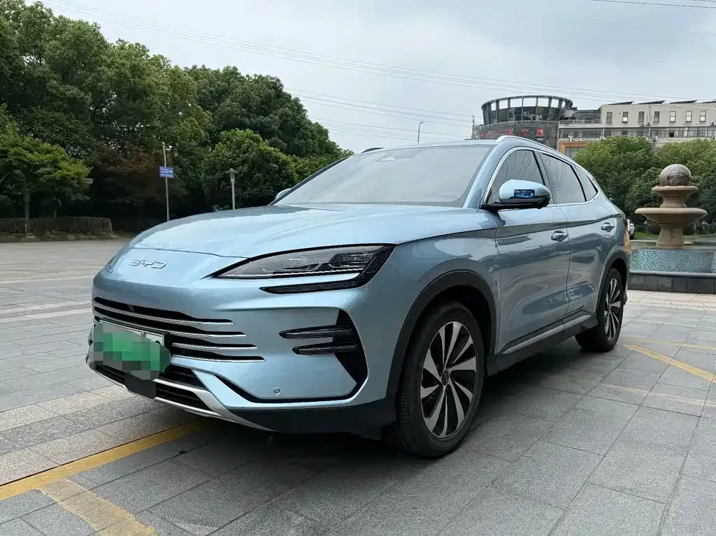BYD PLUS New Energy — фото 1