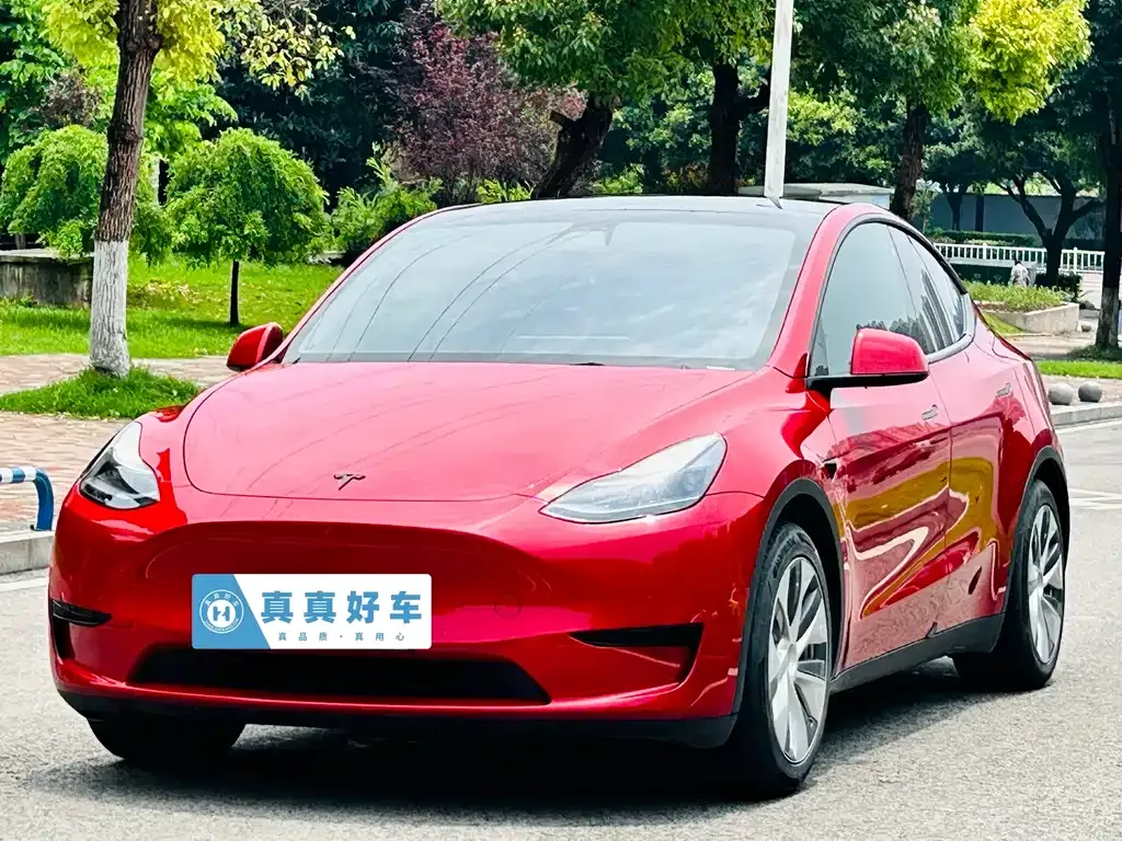Tesla Model Y — фото 1