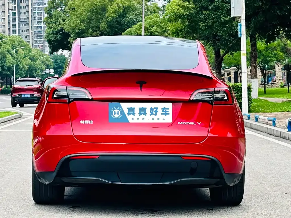 Tesla Model Y — фото 5