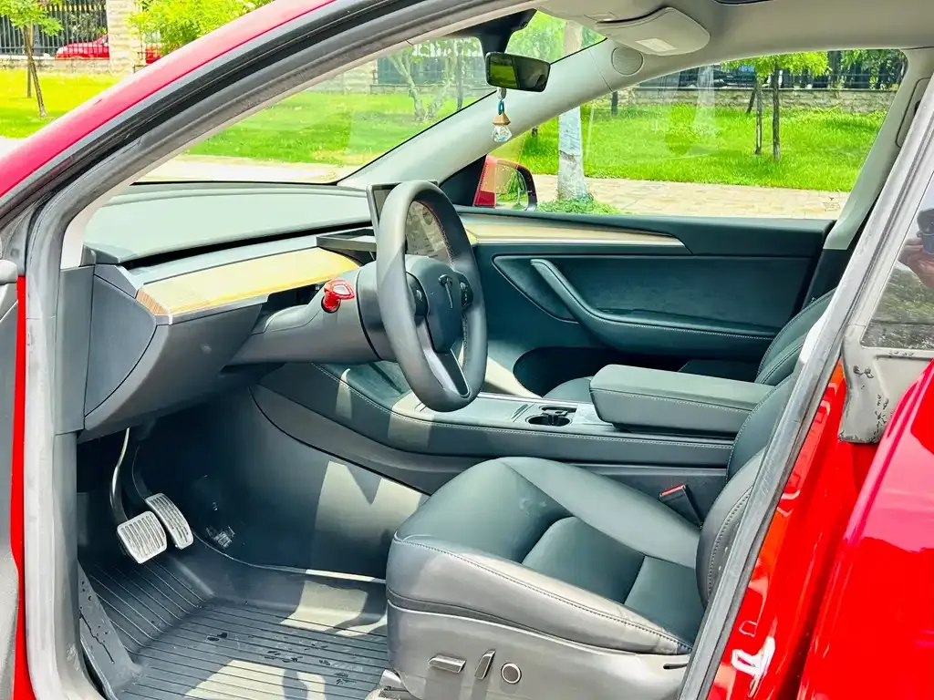 Tesla Model Y — фото 9