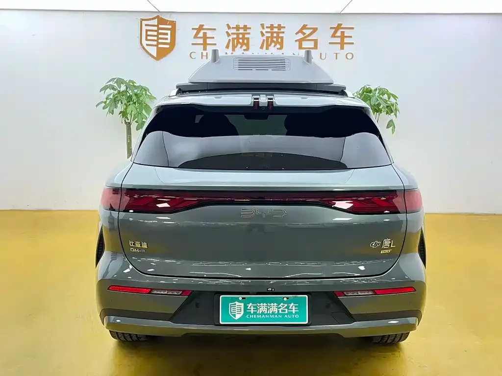 BYD Tang L 2025 из CN, фото 6