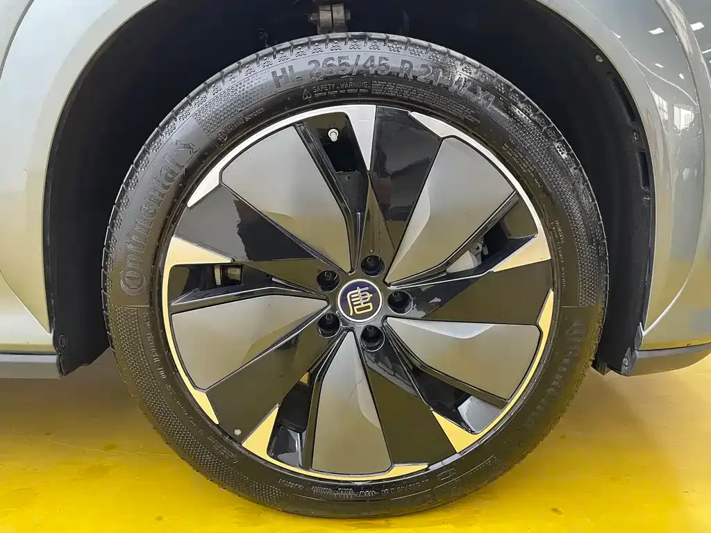 BYD Tang L 2025 из CN, фото 10