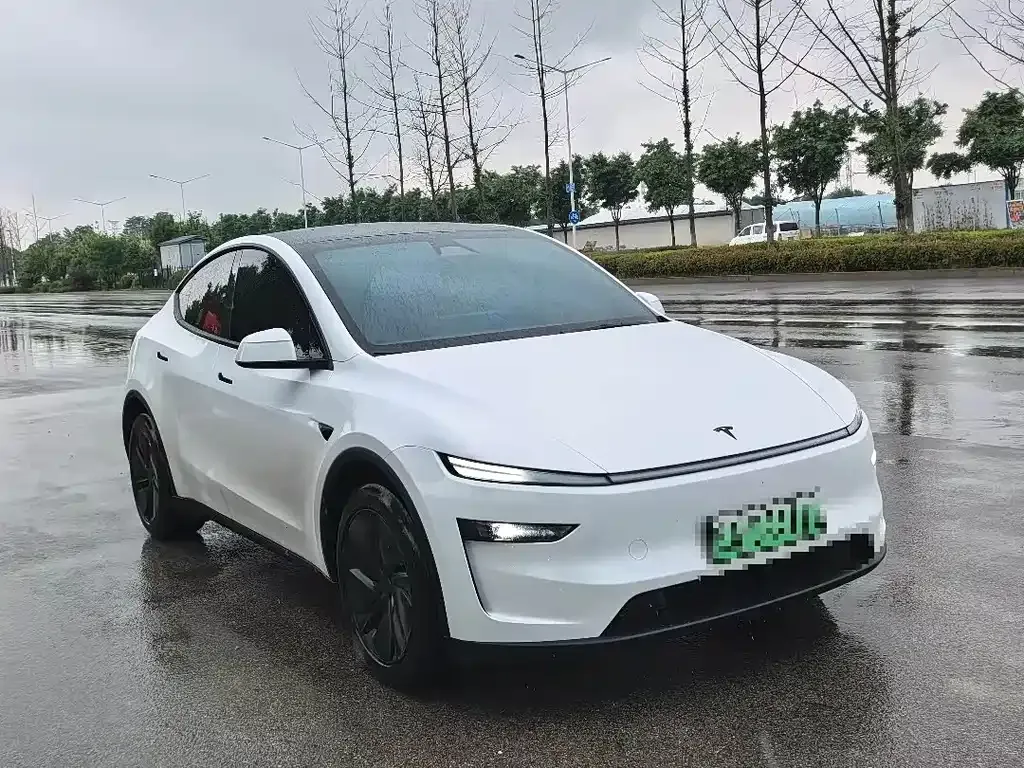 Tesla Model Y — фото 5