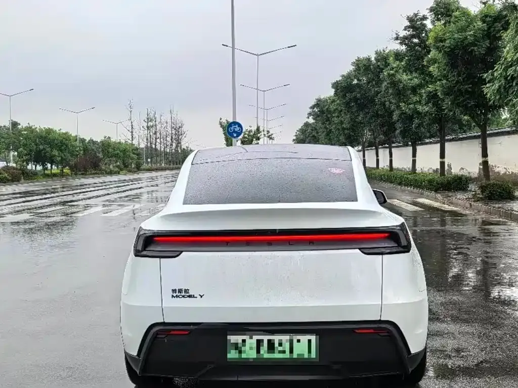 Tesla Model Y — фото 8