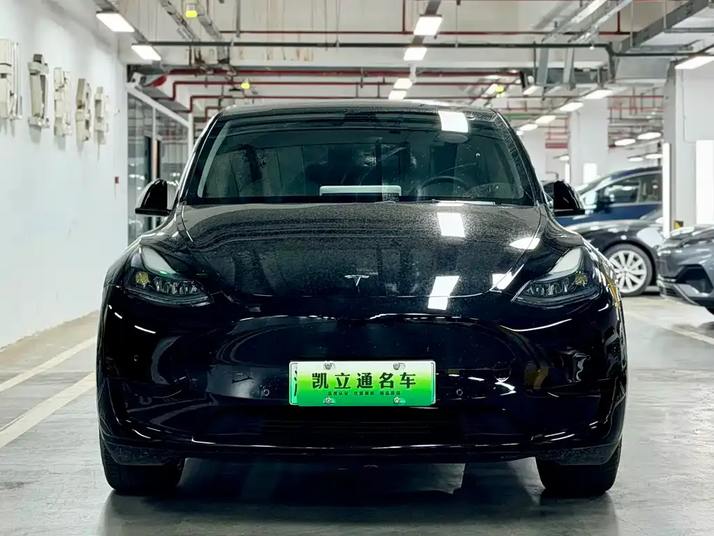 Tesla Model Y — фото 9