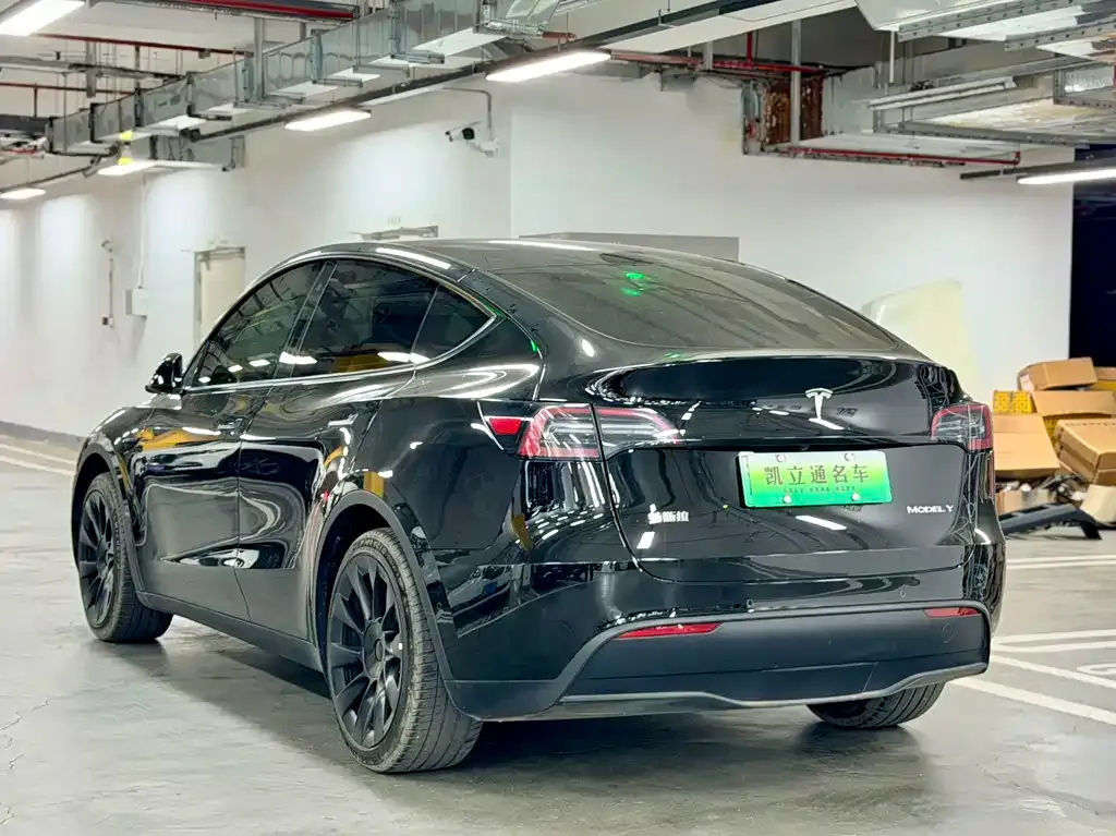 Tesla Model Y — фото 10