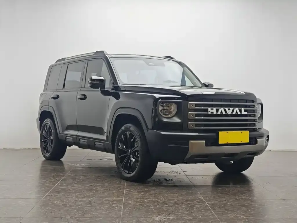 Haval Menglong New Energy 2024 из CN, фото 10
