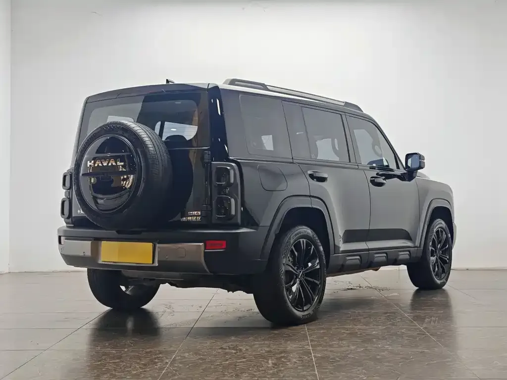 Haval Menglong New Energy 2024 из CN, фото 4