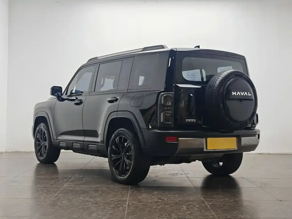 Haval Menglong New Energy 2024 из CN, фото 6