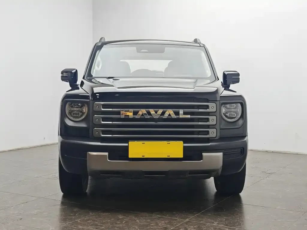 Haval Menglong New Energy 2024 из CN, фото 2