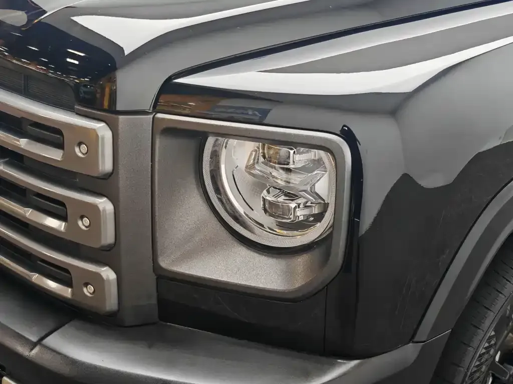 Haval Menglong New Energy 2024 из CN, фото 9